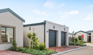 Evergreen Muizenberg