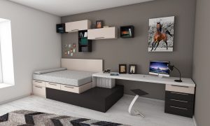 downsizing