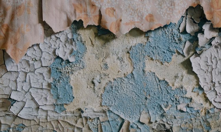 Seasonal maintenance issues now priority number one for home-owners