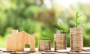 Property investment