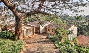 KZN property market bounces back after unrest