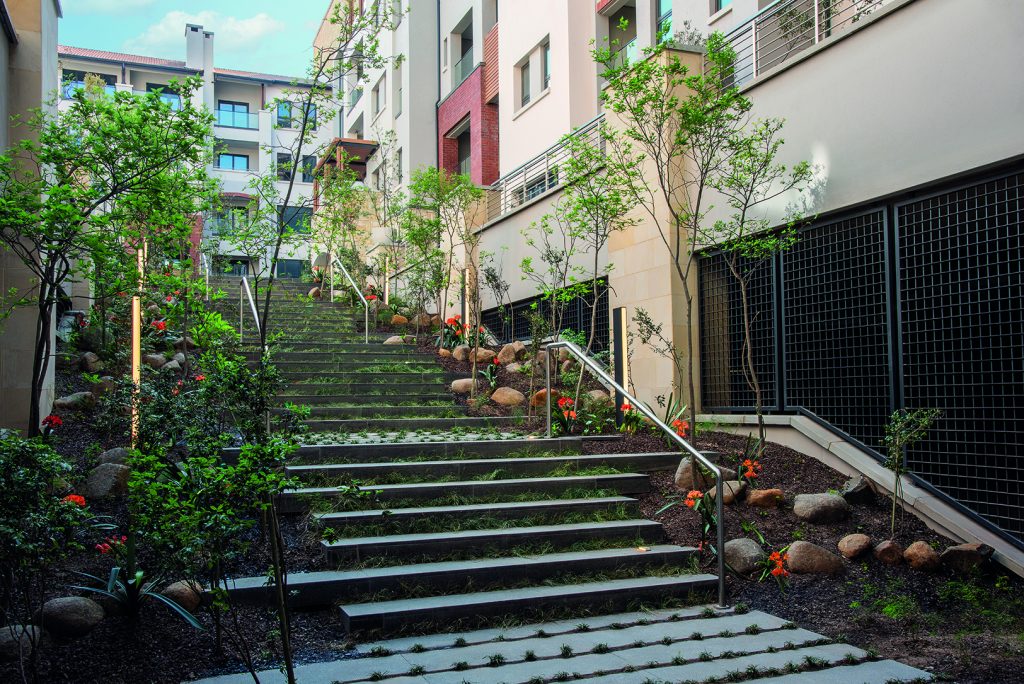 City Centre apartments treelike