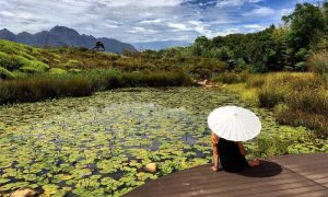 green spaces gardens