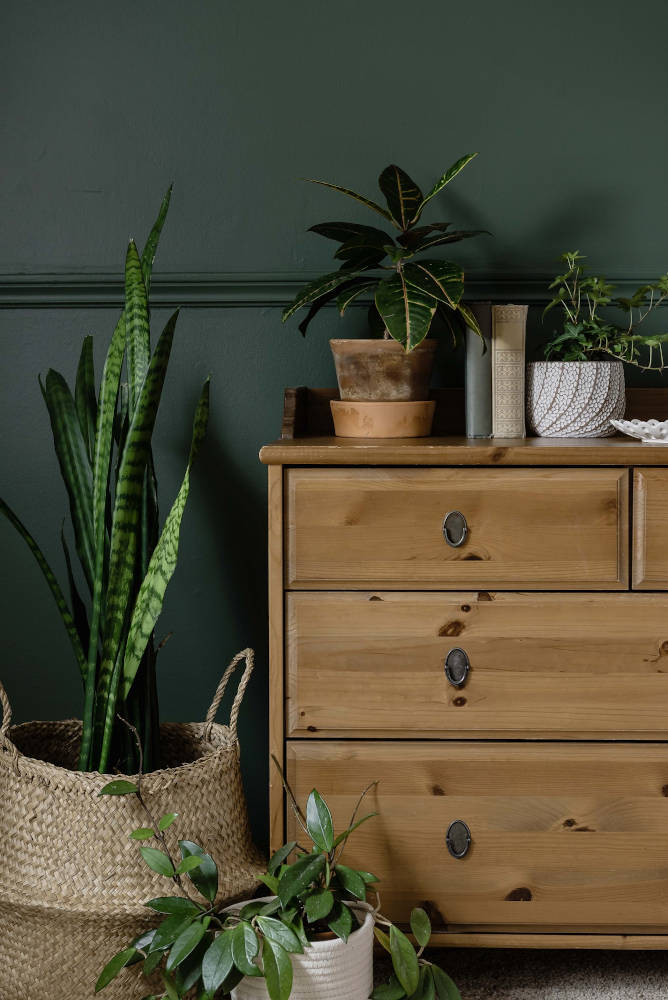plascon winter