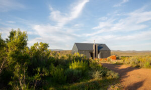 Karoo