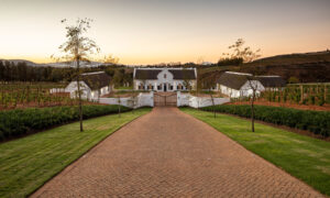 Brookdale