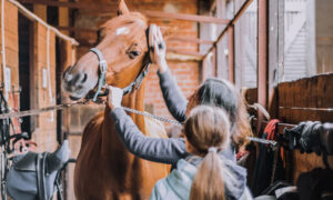 equestrian