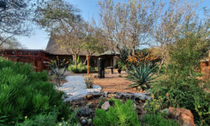 Hoedspruit