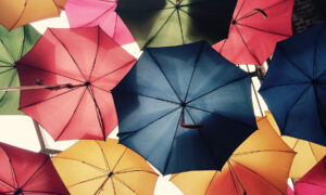 types of insurance