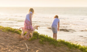 KwaZulu-Natal’s