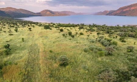 Loskop Dam Nature Reserve cluster