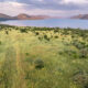 Loskop Dam Nature Reserve cluster