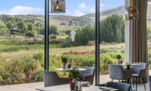 Clara Anna Fontein Oasis Life