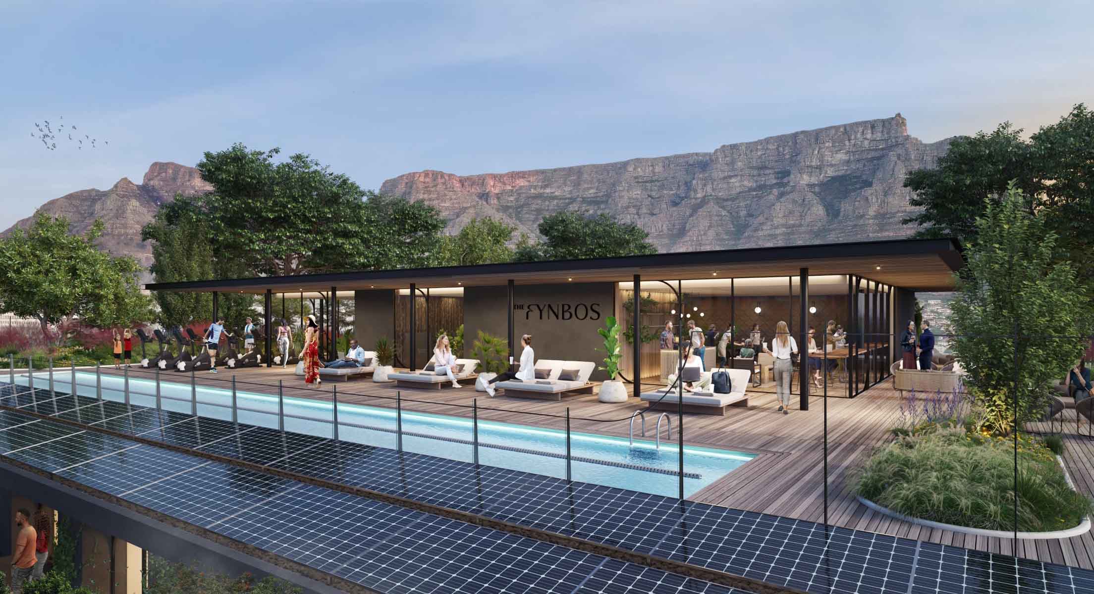 The Fynbos rooftop