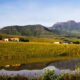 Cathkin Estate in the tranquil Champagne Valley in Central Drakensberg, KwaZulu-Natal