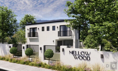 Mellow Wood Constantia price