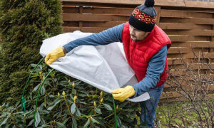 Husqvarna South Africa’s Timothy Isabirye unpacks what winter means for gardens across South Africa’s varied climates.