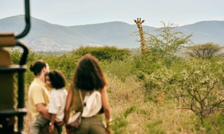 Mpilo Safari Lodge to add to Club Med allure 1