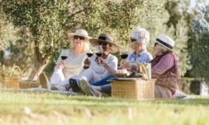Retirement Hotelification 1