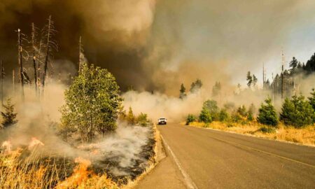 flood storm wildfire risk insurance