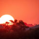 Bela-Bela Limpopo property Hoedspruit Great North