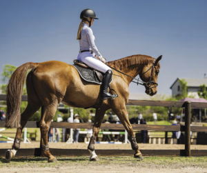 Rider on a brown horse in an outdoor equestrian arena.