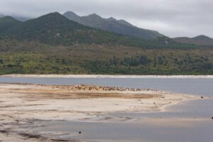 Extreme weather damage risk to South African homes