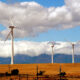 South African wind farm contractors under pressure as renewable energy market expands