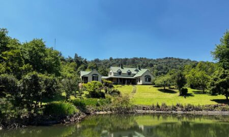 Property market set for a new look, says Tyson Properties