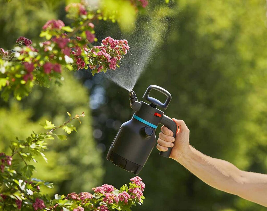 what kills bugs on plants