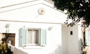 Zero-deposit and cost-inclusive home loan demand and approvals