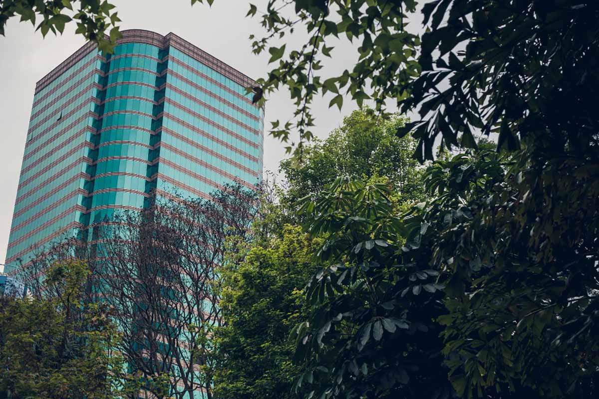 “green” commercial leases