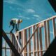 Building Industry Bargaining Council