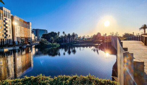 The view on offer at Oasis Life Century City